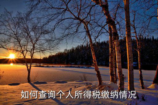 如何查詢自己交稅情況，個(gè)人繳稅記錄怎么查詢