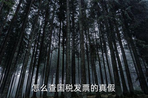 國稅如何驗證發(fā)票，增值稅發(fā)票網(wǎng)上怎么認證