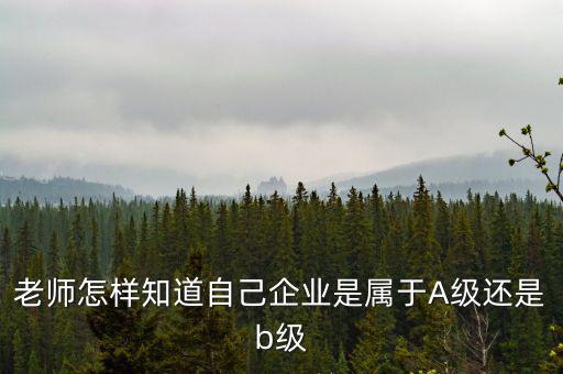 企業(yè)級(jí)別如何查，企業(yè)資質(zhì)等級(jí)怎樣查