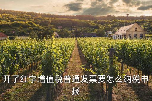 紅字進(jìn)項(xiàng)如何申報(bào)，開了紅字增值稅普通發(fā)票要怎么納稅申報(bào)