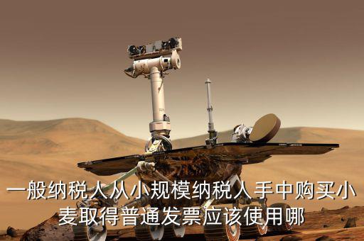一般納稅人從小規(guī)模納稅人手中購(gòu)買(mǎi)小麥取得普通發(fā)票應(yīng)該使用哪