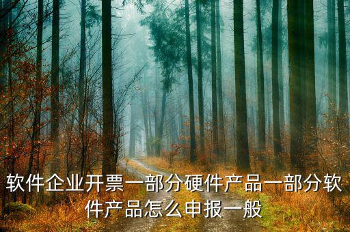 軟件企業(yè)如何報稅，軟件企業(yè)開票一部分硬件產(chǎn)品一部分軟件產(chǎn)品怎么申報一般