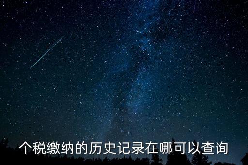 如何查詢個人所得稅的繳費記錄，個稅繳納的歷史記錄在哪可以查詢