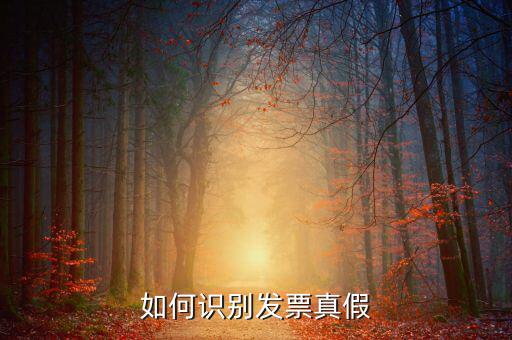 深圳國稅局發(fā)票如何查詢真?zhèn)尾樵?，如何在認(rèn)證前查驗(yàn)發(fā)票真?zhèn)?/></a></span><span id=