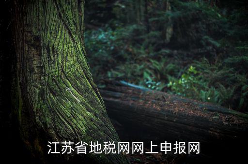 江蘇如何網(wǎng)上報稅，現(xiàn)在江蘇能不能進行網(wǎng)上抄報稅