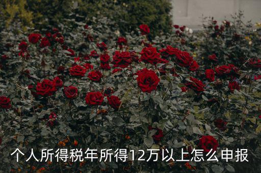 陜西地稅 12萬以上如何申報，個人所得稅年所得12萬以上怎么申報