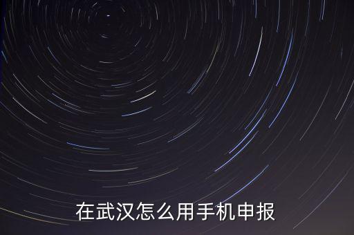 在武漢怎么用手機(jī)申報