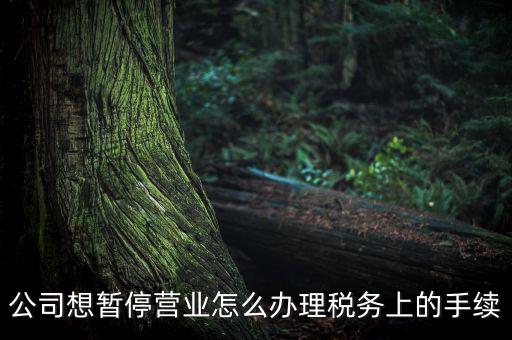 北京市如何辦理單位稅務(wù)暫停，企業(yè)暫停營業(yè)怎么辦理