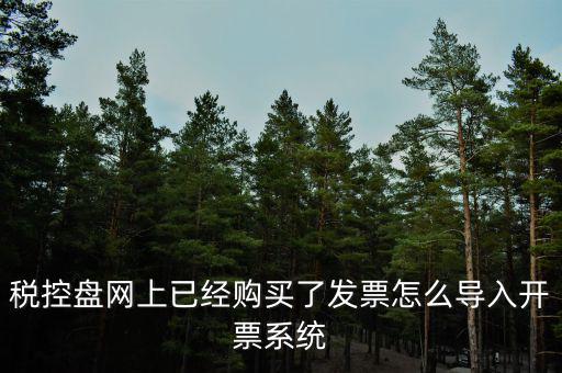 如何網(wǎng)上開票系統(tǒng)，稅控盤網(wǎng)上已經(jīng)購(gòu)買了發(fā)票怎么導(dǎo)入開票系統(tǒng)