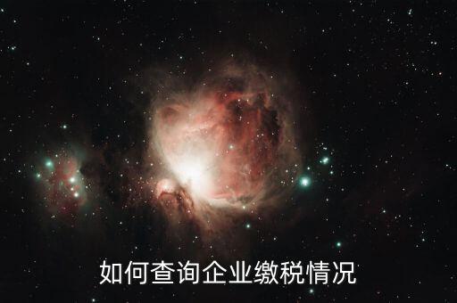 如何查詢企業(yè)繳稅情況，去哪里可以查到一個企業(yè)的納稅狀況