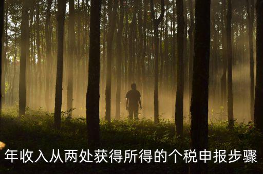 年收入從兩處獲得所得的個稅申報(bào)步驟
