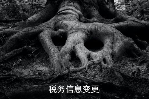 地稅如何變更人員信息查詢，浙江地稅開票軟件開票人怎么更改