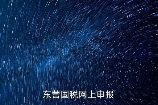 東營國稅如何網(wǎng)上申報(bào)，東營國稅網(wǎng)上申報(bào)