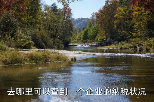 如何查詢企業(yè)納稅，去哪里可以查到一個(gè)企業(yè)的納稅狀況