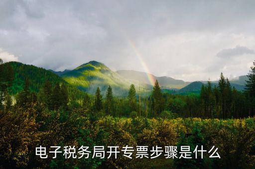 山西省稅務(wù)局網(wǎng)上如何開專票，如何開增值稅專用發(fā)票