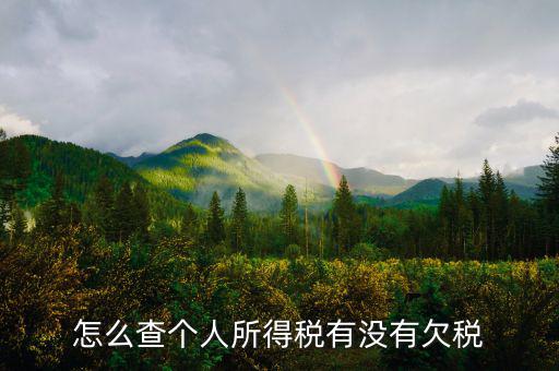 個人企業(yè)如何查欠稅啊，個體工商戶怎么查詢是否欠稅