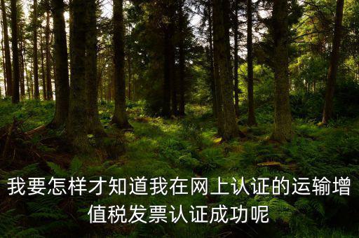 我要怎樣才知道我在網上認證的運輸增值稅發(fā)票認證成功呢