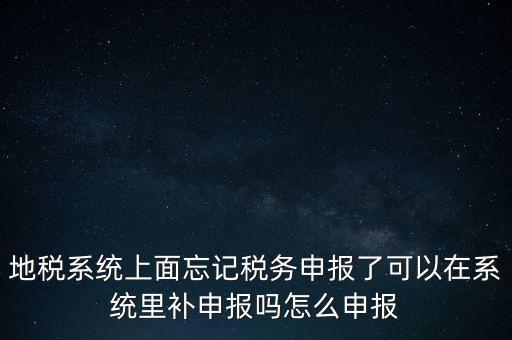地稅系統(tǒng)上面忘記稅務(wù)申報了可以在系統(tǒng)里補(bǔ)申報嗎怎么申報