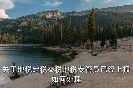 關于地稅定稅交稅地稅專管員已經上報如何處理