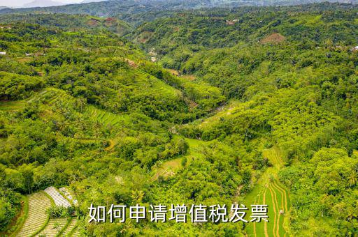 增值稅卷式發(fā)票如何申，新開公司如何申請增值稅發(fā)票