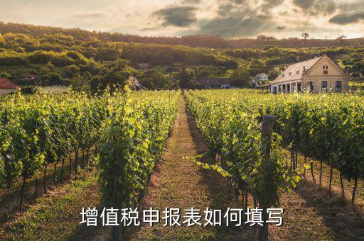 增值稅納稅申報表如何填列，增值稅申報表如何填寫