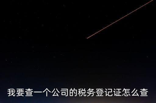 如何查企業(yè)的稅收記錄，想查一個公司的稅費情況怎么查
