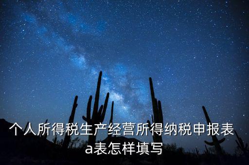 個(gè)人經(jīng)營(yíng)所得申報(bào)表a表如何填，個(gè)人所得稅經(jīng)營(yíng)所得稅申報(bào)表a表怎么填