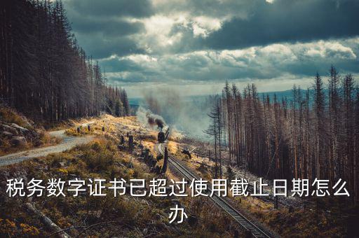稅務數(shù)字證書過期如何更新，數(shù)字CA證書將過期該如何更換