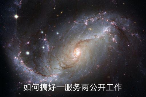 如何推進(jìn)一案雙查工作，如何搞好一服務(wù)兩公開工作