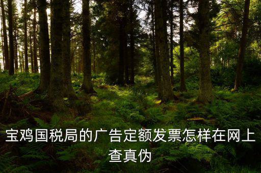國(guó)稅定額發(fā)票如何查驗(yàn)，國(guó)稅的定額發(fā)票怎么辨別真假制作的跟假的似的
