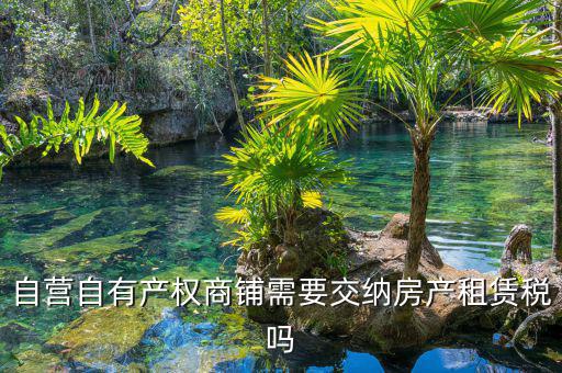 自有商鋪如何繳租賃稅，自有商鋪 是否交出租稅