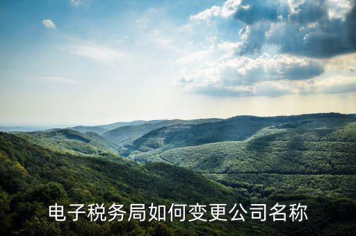 國稅系統(tǒng)如何更改公司，自然人電子稅務局怎么更換企業(yè)