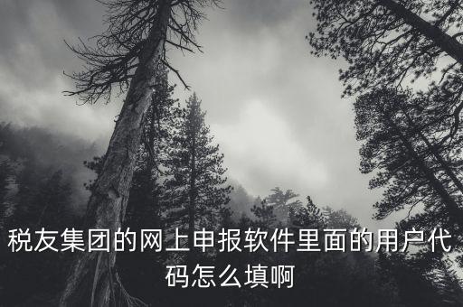 稅友軟件如何申報，稅友通是如何報稅的