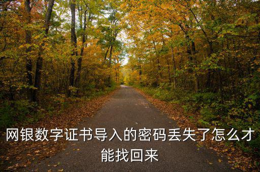 數(shù)字證書密碼錯誤如何找回，營業(yè)執(zhí)照數(shù)字證書密碼忘記了 怎么辦