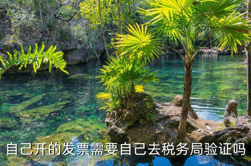 如何去稅務(wù)局驗(yàn)證發(fā)票嗎，發(fā)票怎么去稅務(wù)局驗(yàn)證需要什么資料