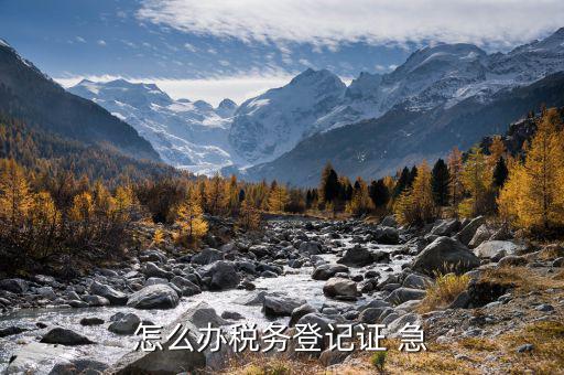 如何辦理稅務實名登記，如何辦理稅務登記