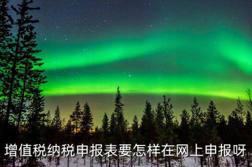 增值稅網(wǎng)上如何申報系統(tǒng)，增值稅納稅申報表要怎樣在網(wǎng)上申報呀