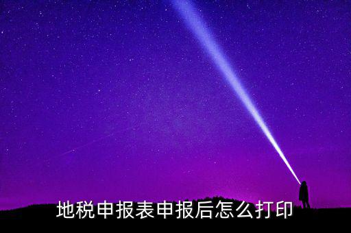 地稅如何打印申報表，地稅納稅申報表怎么打印