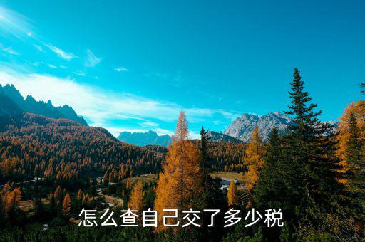 如何查定額稅，怎么查自己交了多少稅