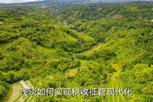 談?wù)勅绾瓮七M(jìn)新時代稅收現(xiàn)代化，淺談如何實現(xiàn)稅收征管現(xiàn)代化