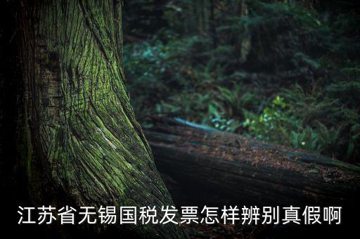 如何查詢無(wú)錫國(guó)稅發(fā)票真?zhèn)尾樵?，江蘇省無(wú)錫國(guó)稅發(fā)票怎樣辨別真假啊