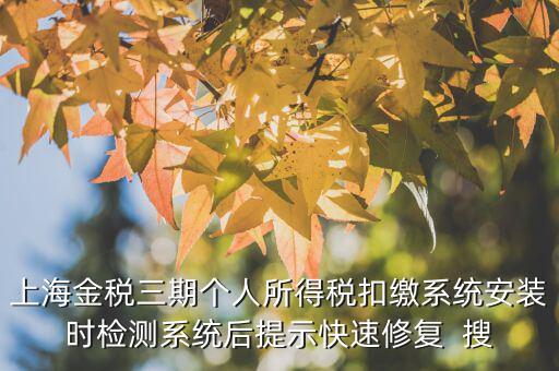 個稅安裝包如何恢復，上海金稅三期個人所得稅扣繳系統(tǒng)安裝時檢測系統(tǒng)后提示快速修復  搜