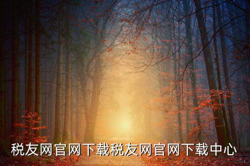 稅友如何下載，個(gè)稅在稅友網(wǎng)上下載下來(lái)了然后怎么安裝