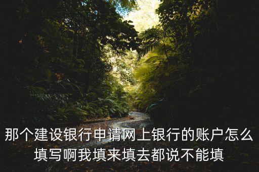 那個(gè)建設(shè)銀行申請網(wǎng)上銀行的賬戶怎么填寫啊我填來填去都說不能填
