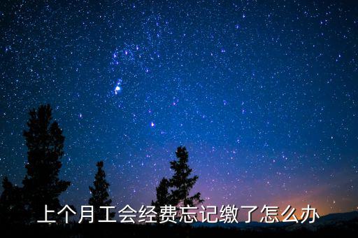 如何補(bǔ)繳上月工會經(jīng)費(fèi)地稅，工會經(jīng)費(fèi)上月已申報(bào)但未繳費(fèi)本月可以補(bǔ)交嗎在哪里補(bǔ)交是在報(bào)稅系統(tǒng)