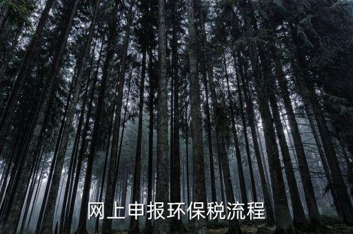 電子稅務(wù)局環(huán)保稅如何申報，2021年環(huán)保稅怎么申報