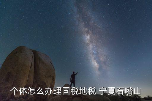 寧夏個稅如何申報，個體怎么辦理國稅地稅 寧夏石嘴山