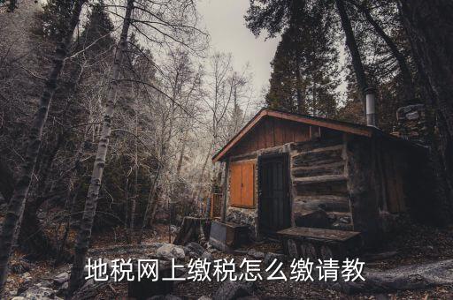 地稅如何交稅嗎，地稅網(wǎng)上繳稅怎么繳請(qǐng)教
