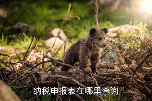 網(wǎng)上稅局如何查稅報稅，電子稅務局怎樣查詢以往申報表