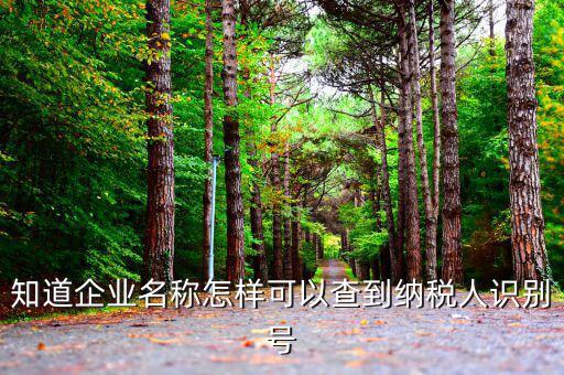 納稅識別號如何查詢，納稅識別號在哪里可以查到